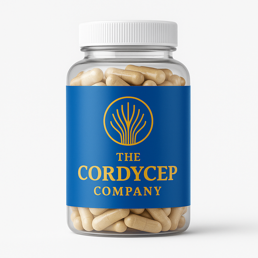 Cordyceps Capsules (60×500 mg)