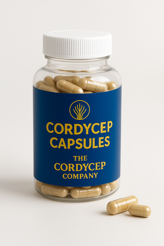 Cordyceps Capsules (60×500 mg)